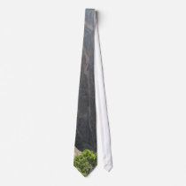 Dike Swarm Neckties