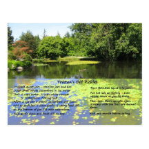 Dill Pickle Recipe Postcard