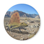 Dimetrodon Dinosaur magnets