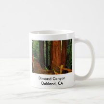 Dimond Canyon Oakland, CA Mugs
