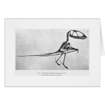 Dimorphodon macronyx art card