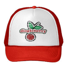 Dingleberry Mesh Hats
