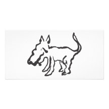 Dingo Picture Card