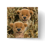 Dinky Bears Farmer Kids Buttons