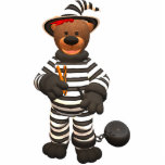 Dinky Bears Little Prisoner Photo Sculptures