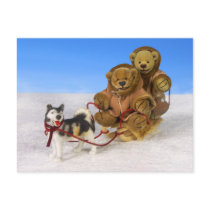 Dinky Bears on Dog Sled