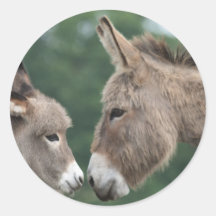 Dinky donkey round stickers