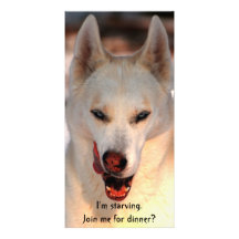 Dinner invitation (humourous) custom photo card