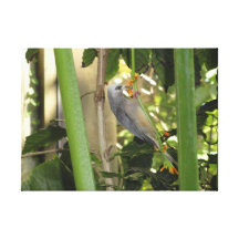Dinner Time Gallery Wrap Canvas