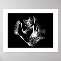 Dinosaur Bone Four Poster