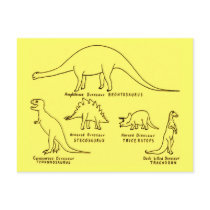 Dinosaur Classification Postcard