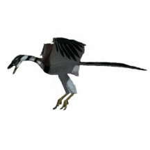 Dinosaur Photo Sculpture Archaeopteryx Greg Paul