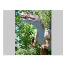 Dinosaur T-Rex Post Card