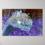 Dinosaur T-Rex Print