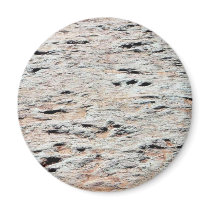 Dinosaur Tracks Fridge Magnets