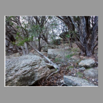 Dinosaur Valley postcard postcards