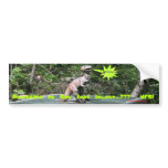 Dinosaurs on San Juan Island Bumper Stickers