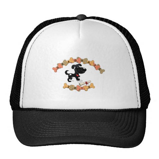Diplômé 2012 casquettes