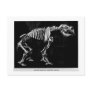 Diprotodon australis art postcard
