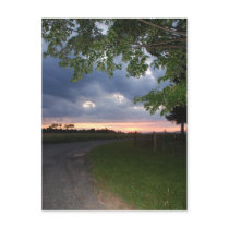 Dirt Road Postcard