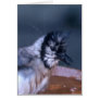 Dirty Bird Greeting Card