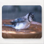 Dirty Bird Mouse Mat