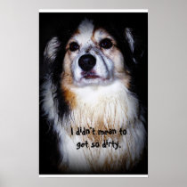 Dirty Dog - Aussie with muddy fur and sad face