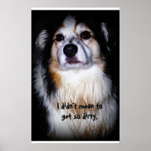 Dirty Dog - Aussie with muddy fur and sad face Print
