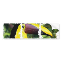 Dirty Photo Bumper Sticker