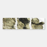 Dirty Photo Bumper Sticker