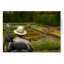 Disabled man in wheelchair in garden greeting card
