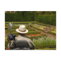 Disabled man in wheelchair in garden postcards