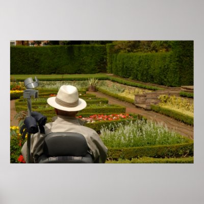 Disabled man in wheelchair in garden posters by photoslot