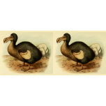 Disappearing Dodo Mug
