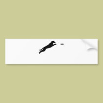 Disc Dog bumper stickers