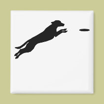 Disc Dog magnets