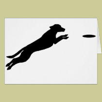 Disc Dog cards
