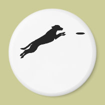 Disc Dog magnets