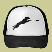 Disc Dog hats
