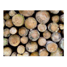 Disc Texture of Cut Tree Trunks Post Cards
