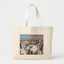 Disco de lama sacs