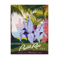 Discover Puerto Rico Postcard