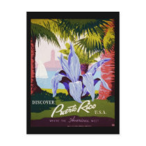 Discover Puerto Rico U.S.A. Post Card