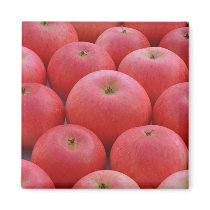 Discovery apple magnet