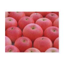 Discovery Apples Post Card