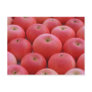 Discovery Apples Post Card
