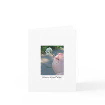 Discovery - II Cards