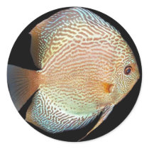 Discus Sticker