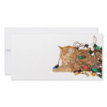 Disgruntled Christmas cat Photo Greeting Card