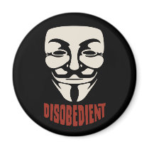 Disobedient Magnets